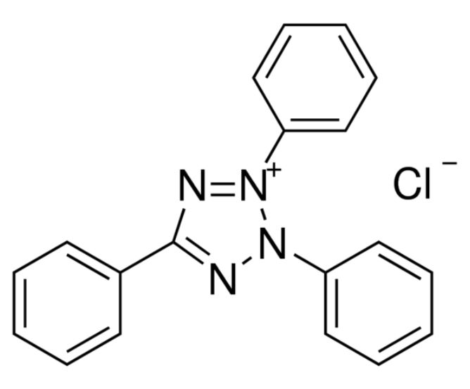 2 3 5-triphenyltetrazolium Chloride 5g
